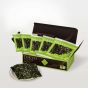 Issou Hyakumi Nori Pistachio (5 pieces)